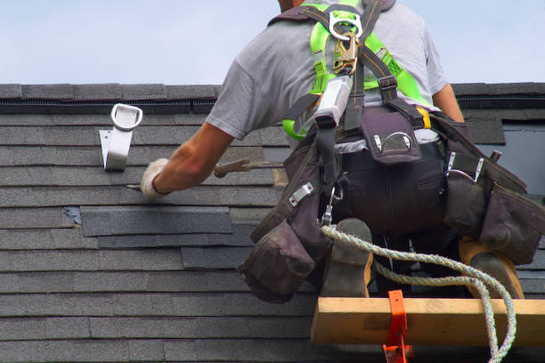 Best Roof Leak Repair  in Meridian, MS