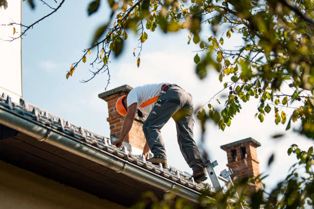 Best Storm Damage Roof Repair  in Meridian, MS