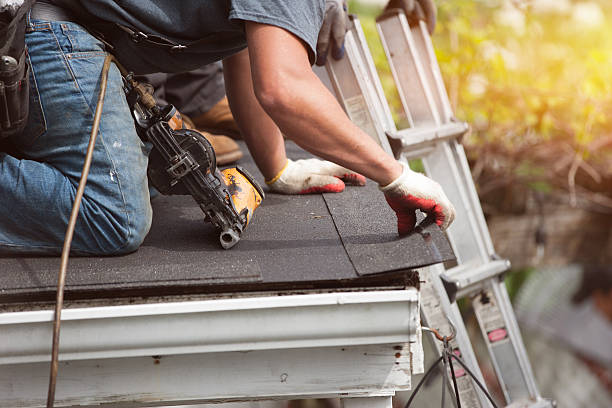 Best Shingle Roofing Installation  in Meridian, MS