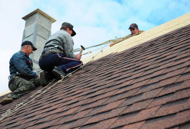 Best New Roof Installation  in Meridian, MS